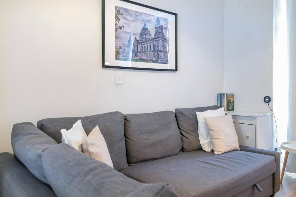 Cosy 2 Bedroom Town House Close To City Centre Белфаст Экстерьер фото